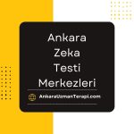 Ankara Zeka Testi Merkezleri