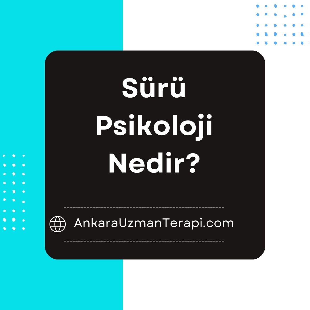 Sürü Psikolojisi Nedir?