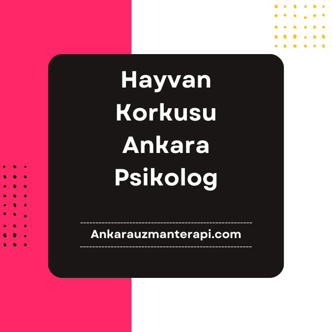 Hayvan Korkusu Ankara Psikolog