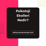Psikoloji Ekolleri Nedir?