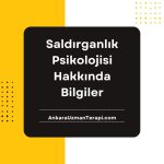 Saldırganlık psikolojisi