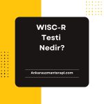 Wisc-R Testi Sonuçları Nasıl Yorumlanır?