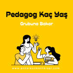 Pedagog kaç yaş grubuna bakar
