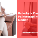 Psikolojik Danışma Ve Psikoterapi kuramları