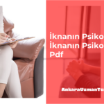 İknanın Psikolojisi Pdf