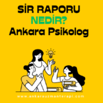 Sir Raporu Nedir?