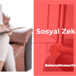Sosyal Zeka Nedir?