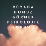 Rüyada Domuz Görmek Psikolojik Yorumu