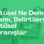 Dürtüsel Ne Demek? Anlamı, Belirtileri ve Dürtüsel Davranışlar