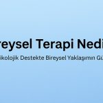 bireysel terapi nedir bireysel terapi ankara seans ucretleri