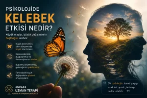 Psikolojide Kelebek Etkisi Nedir?